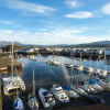 Отель Harbour Suite, фото 11