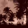 Отель Sea Sand Sun Resort, фото 7