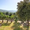 Отель Masseria Romagnolo, фото 15