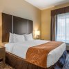 Отель Comfort Suites Northwest Houston at Beltway 8, фото 5
