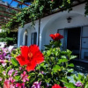 Отель Guest House 3 Stars Positano, фото 4