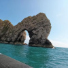 Отель Fosters Guest House, фото 13