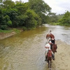 Отель Cabañas Ecoturisticas y Club Gaira Tayrona, фото 18