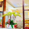 Отель Mekong Rose Hotel, фото 14