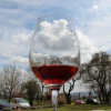 Отель Agriturismo La Segolina, фото 9
