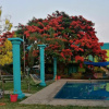 Отель Hacienda San Miguel, фото 4