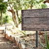Отель Wild Coast Tented Lodge - Relais and Chateaux, фото 38