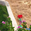 Отель Yiyuan Yameng Homestay (Weizhou Island Colorful Beach Scenic Area), фото 12
