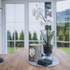 Отель Spa Chalet by we rent, фото 27