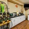 Отель Quality Inn & Suites Terrell, фото 12