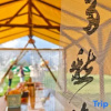 Отель Selenium-themed Inn In West Huangshan City, фото 4