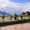 Отель Vieng Tara Villa, фото 13