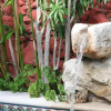 Отель Casa Guadalupe, фото 5