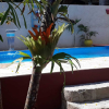 Отель Pousada Bela Paraty, фото 15