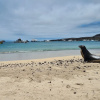 Отель Indigo Galapagos, an IHG Hotel, фото 21