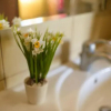 Отель Hotel-Restaurant Lyube Plus, фото 8