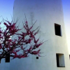 Отель Windmill Complex, фото 19