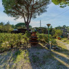 Отель Casetta Rossa 500 meters from the beach of Lido di Capoliveri surrounded by greenery-LA CASETTA ROSS, фото 4
