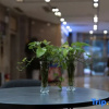 Отель Hong Fu Hotel, фото 8