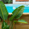 Отель La Palma Hostel Leiria, фото 17