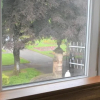 Отель Parkview Guest House, фото 20