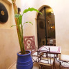 Отель Magnifique Riad Dar Zina 3ch/6pers, фото 10