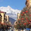 Отель Shanqi Xiaoshe Boutique Homestay, фото 7