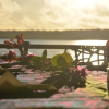 Отель Aitutaki Village, фото 14