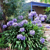 Отель A Stanthorpe Getaway, фото 30
