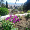 Отель Villa with 5 Bedrooms in la Guardia de Jaen, with Wonderful Mountain View, Private Pool And Enclosed, фото 12