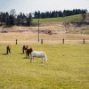 Отель Farm Stay Ana, фото 9