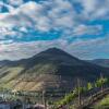 Отель Dois Lagares House, фото 11