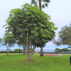 Отель Eral Apartments Country Club, фото 26