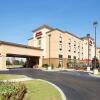 Отель Hampton Inn & Suites Millington, фото 3