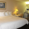 Отель Glenwood Inn & Suites, фото 5