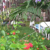 Отель Villa Beija Flor, фото 32