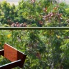 Отель The Sky Imperial Aarivaa Luxury Homestay, фото 13