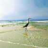 Отель Beachwalk #4 2 Bedrooms 2 Bathrooms Townhouse, фото 22