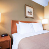 Отель Comfort Inn & Suites, фото 26