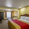 Отель Econo Lodge Inn & Suites, фото 32