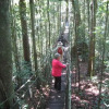 Отель Antares Amazon Lodge, фото 10