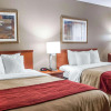Отель Comfort Inn Near Six Flags St. Louis, фото 7