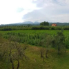 Отель Pensiunea Tincu, фото 4
