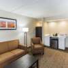 Отель Quality Inn & Suites, фото 37