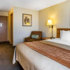 Отель Comfort Inn, фото 5