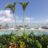 Отель Newport House Playa Boutique Hotel, фото 18