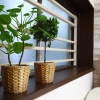 Отель Samy's Guest House, фото 2
