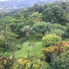 Отель Treetops Villa, фото 15