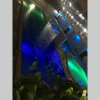Отель Centropolis 3, Tropical Modern, фото 3