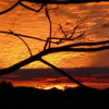 Отель Cedarview Bed & Breakfast, фото 9